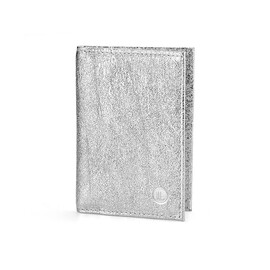 Шкіряна обкладинка для авто/євродокументів LeGRAND collection V04 S срібляста, Колір: Срібний, фото 